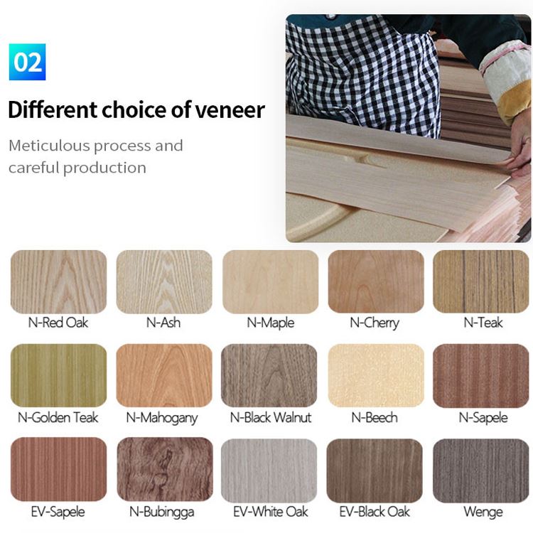 Structural integrity testing of JHK-S05 veneer doors